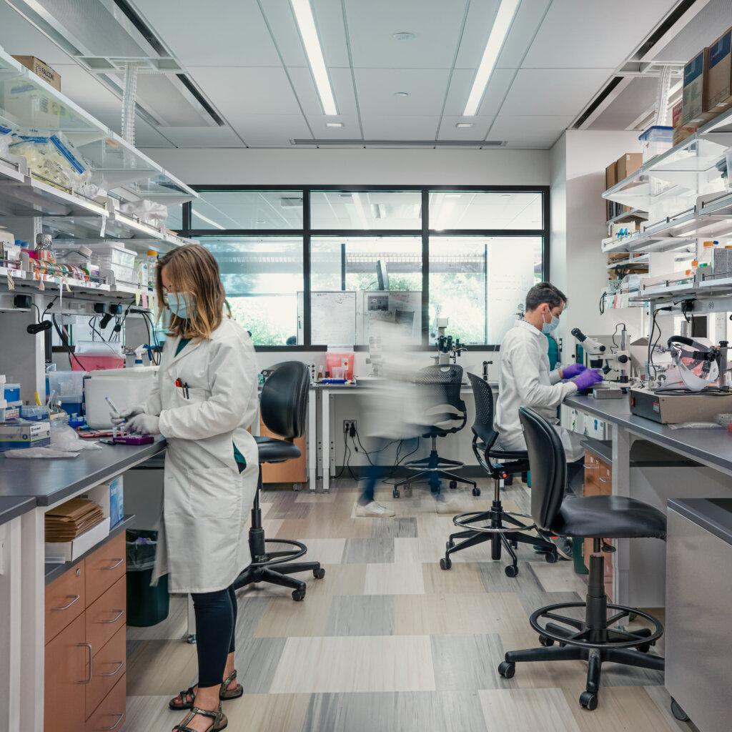 Researchers in a wet lab at the Yale Wu Tsai Institute at Yale University.